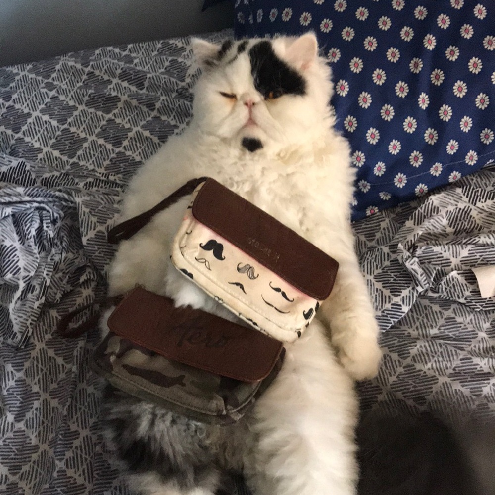 Wallets